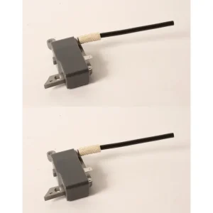 2 Genuine Echo P021003910 Ignition Coil PB260 PE261 GT230 SRM230 SRM260 PPT230 - Explore Premium Parts & Accessories for All Motor Vehicle Models* Echo OEM Parts & Accessories