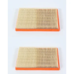 2 Pack Genuine Generac 0E9371AS Air Filter For HSB 8kW 11kW Evolution Series - Explore Premium Parts & Accessories for All Motor Vehicle Models* Generac OEM Parts