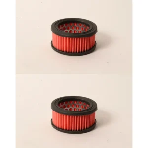 2 PK Genuine Echo 13030039730 HD Air Filter ASM CS370 CS400 CS5000 CS370F CS3500 - Explore Premium Parts & Accessories for All Motor Vehicle Models* Echo OEM Parts & Accessories
