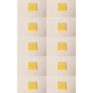 10 PK OEM Echo A226002040 Foam Pre Filter PE2620 SRM2620 PB2620 SRM3020 HCA2620 - Explore Premium Parts & Accessories for All Motor Vehicle Models | Cheap